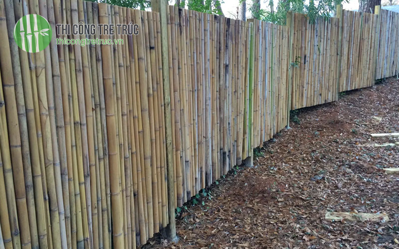 Mẫu hàng rào tre trang trí sân vườn đẹp