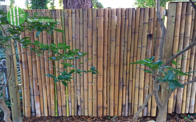Mẫu hàng rào tre trang trí sân vườn đẹp