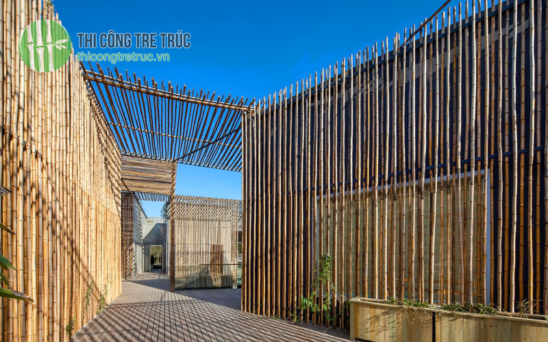 Thi công tre trúc homestay