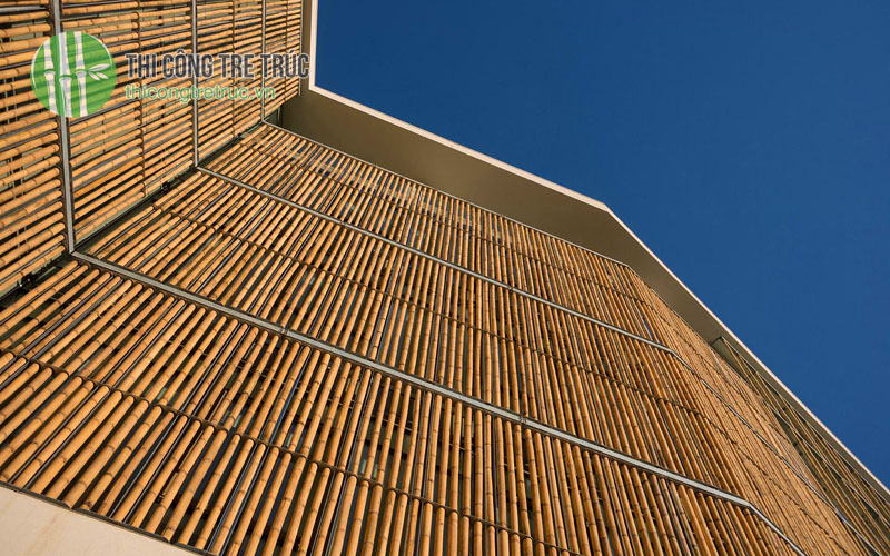 Thi công tre trúc văn phòng công ty