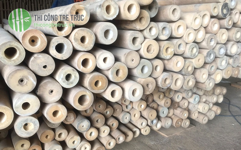Những cách chống mối mọt cho tre trúc hiệu quả tốt nhất